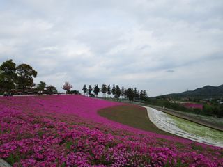 d0045362_21315565.jpg