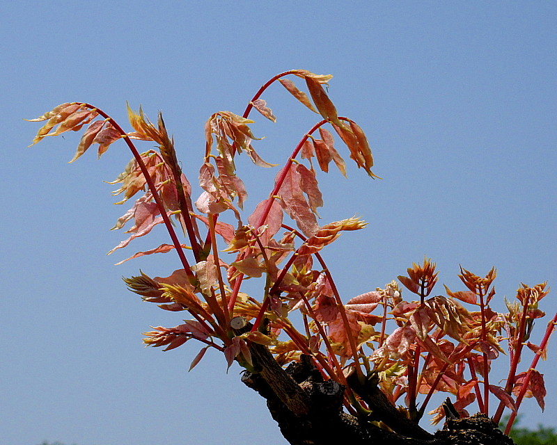 c0305565_18254436.jpg