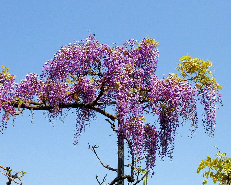 c0305565_18264368.jpg
