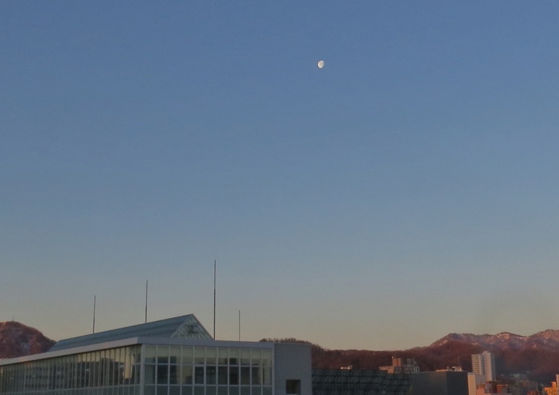 c0183777_7545278.jpg