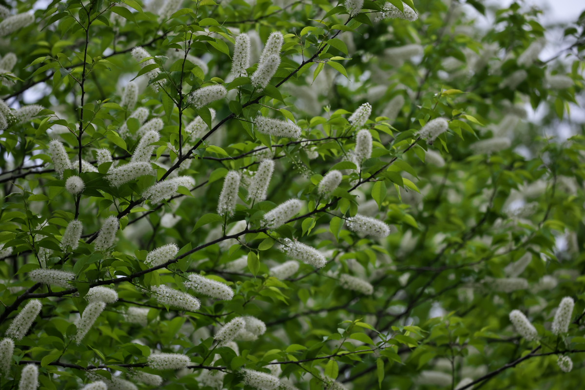 a0083081_12131711.jpg