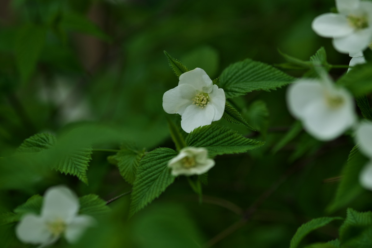 a0083081_12174359.jpg