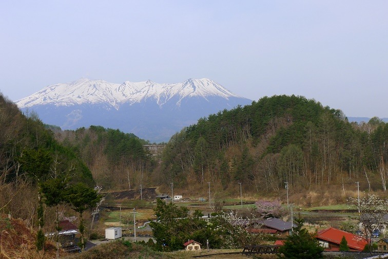 a0130586_8101995.jpg