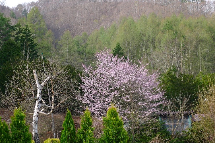 a0130586_885959.jpg