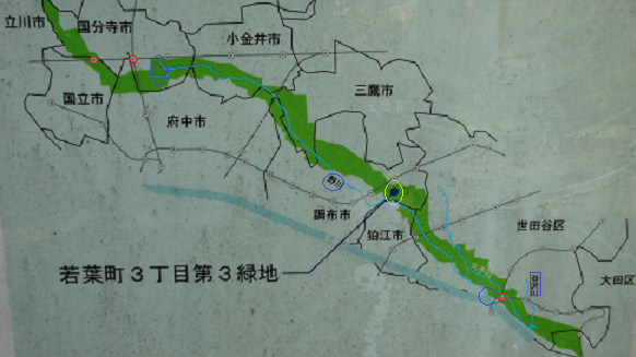 d0183387_21221757.png