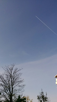 b0128589_12144476.jpg