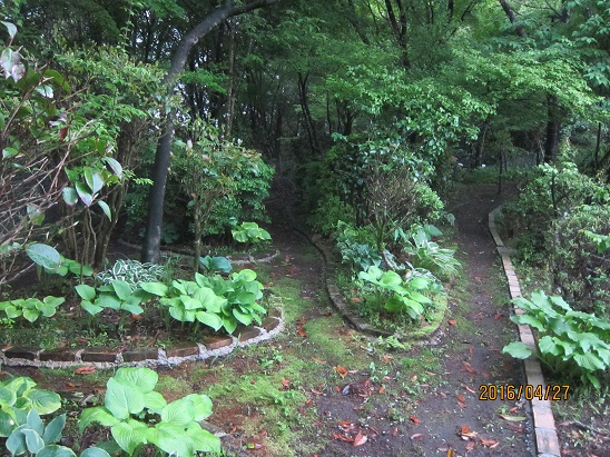 f0106692_19144668.jpg