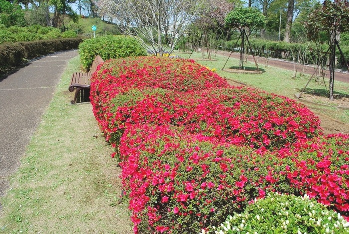 e0025300_16422699.jpg
