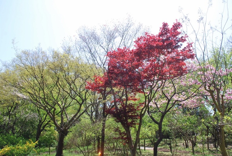 e0025300_16504439.jpg