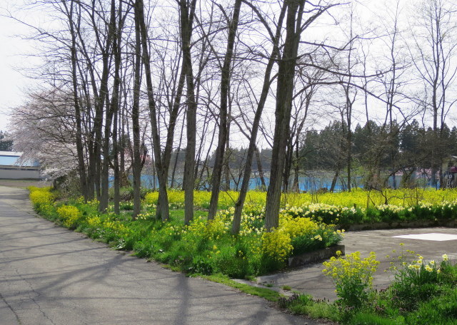 a0214206_21131607.jpg