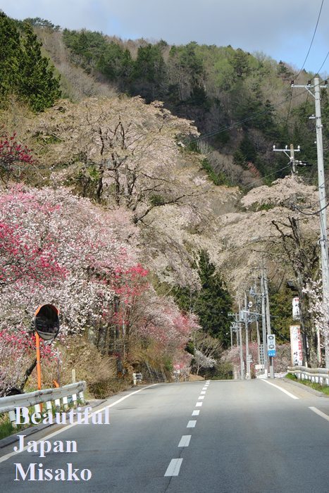 信州清内路峠・・・春から初夏へ.｡･：＊：･ﾟ‘☆､｡　4月23日 - Beautiful Japan 絵空事