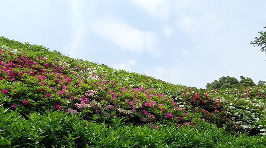 f0231709_6575388.jpg