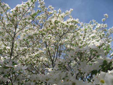 c0062511_21312074.jpg