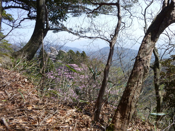 d0170615_11585774.jpg