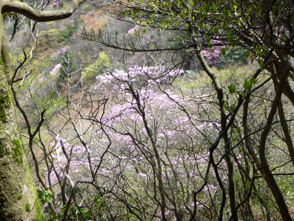 d0170615_11591961.jpg