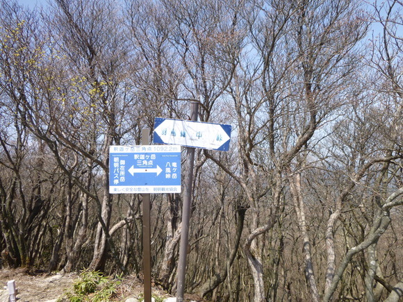 d0170615_1243360.jpg