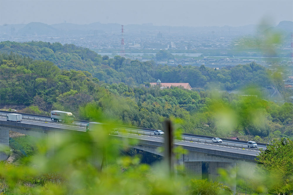 d0029829_05020410.jpg