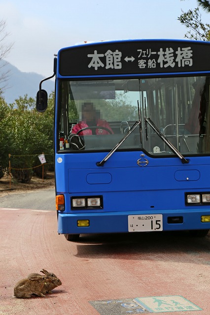 a0242438_20224214.jpg