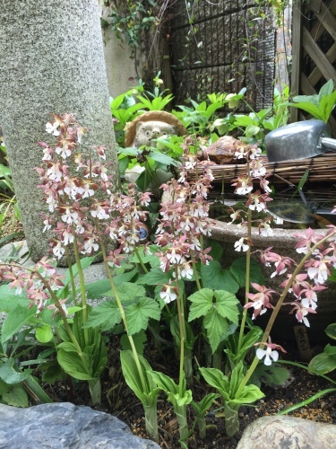 f0343739_10031656.jpg