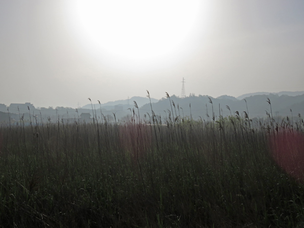 f0214649_415247.jpg