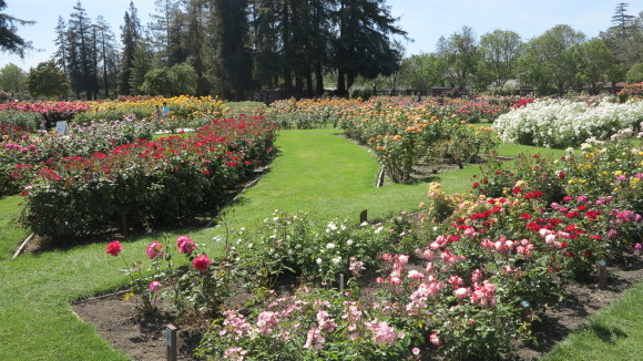 c0355451_02140041.jpg