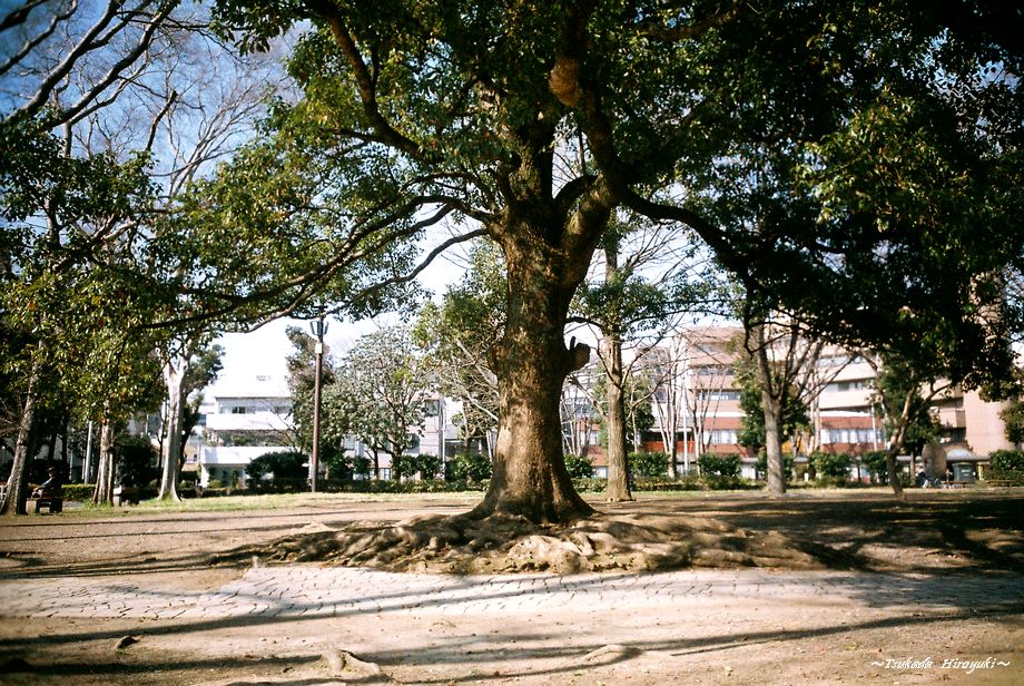 b0213755_22144214.jpg