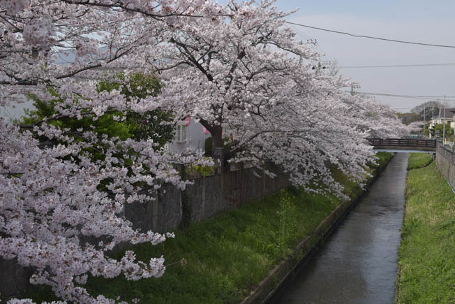 c0226761_1501869.jpg