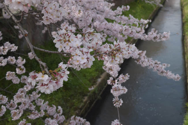 c0226761_1504325.jpg