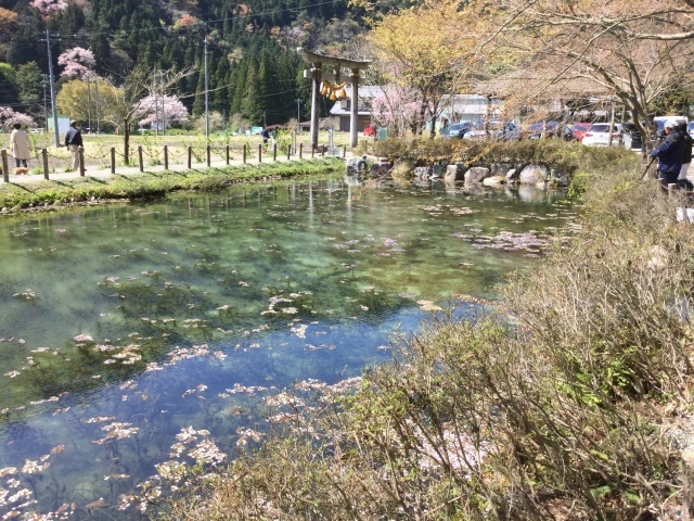 a0118079_00154261.jpeg