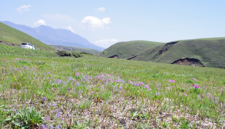 c0144185_17164255.jpg