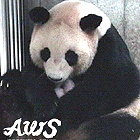 a0052986_12384668.jpg