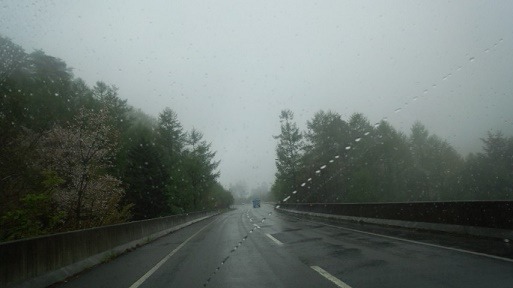 a0130586_20336.jpg