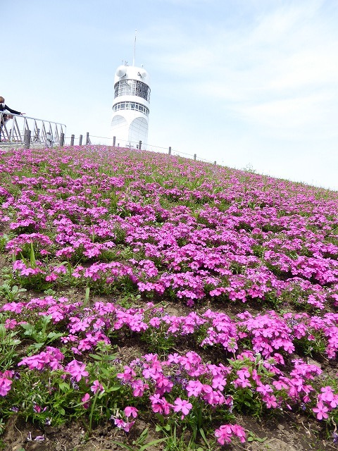 b0287088_21345496.jpg