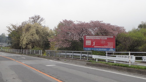 a0338094_00341534.jpg