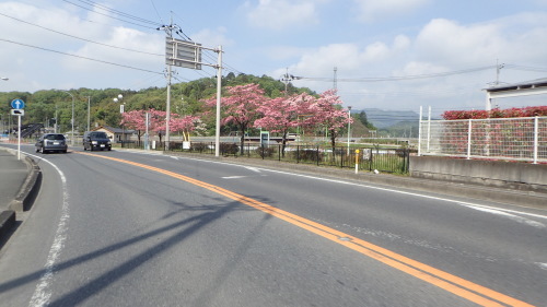 a0338094_00400353.jpg