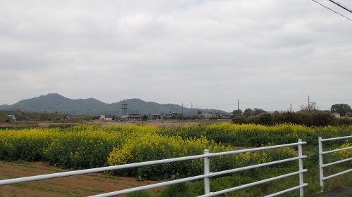 a0338094_00484750.jpg