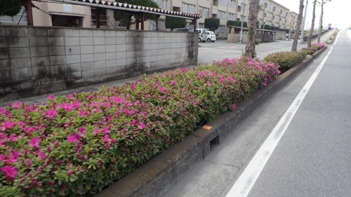 a0338094_00560875.jpg
