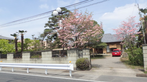 a0338094_00584159.jpg