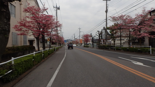 a0338094_01395365.jpg