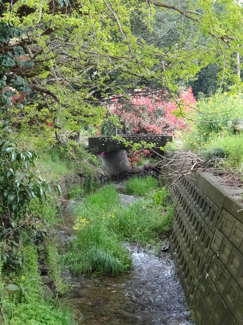 c0279611_16231782.jpg
