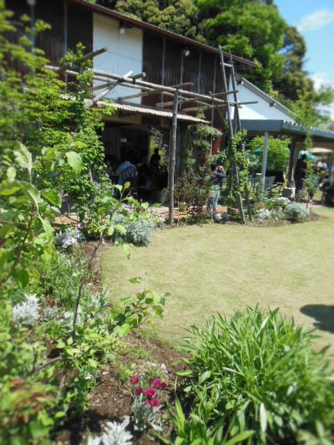 f0208812_19482894.jpg