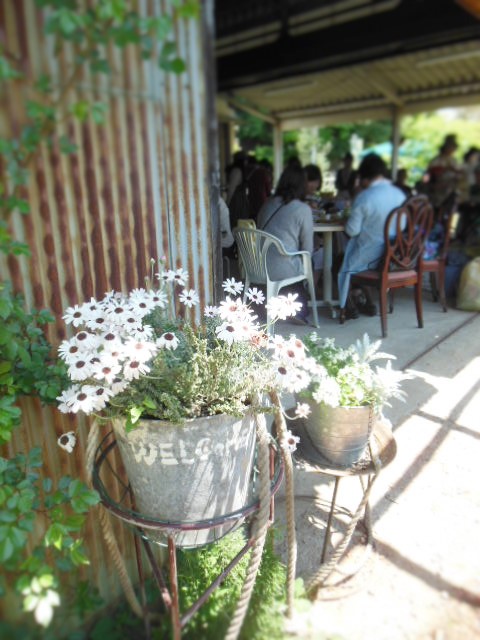 f0208812_19483650.jpg