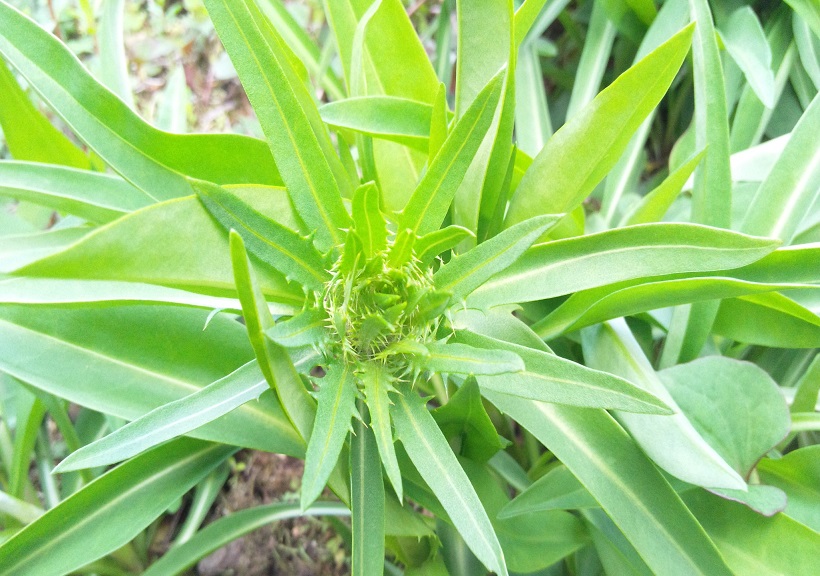 f0228619_20251794.jpg