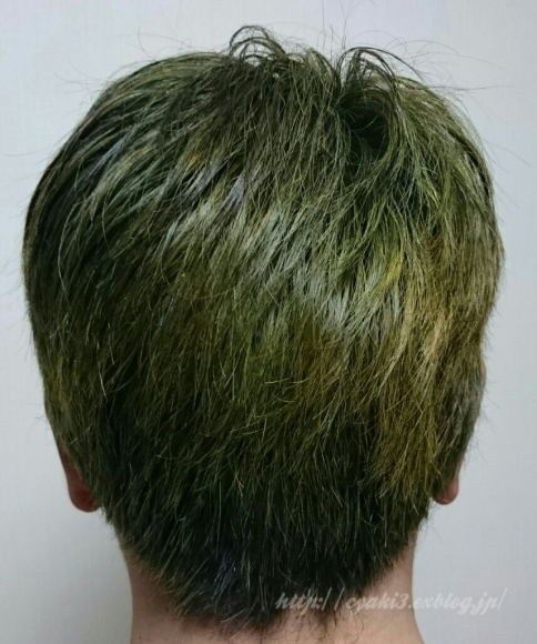 a0078020_09195305.jpg