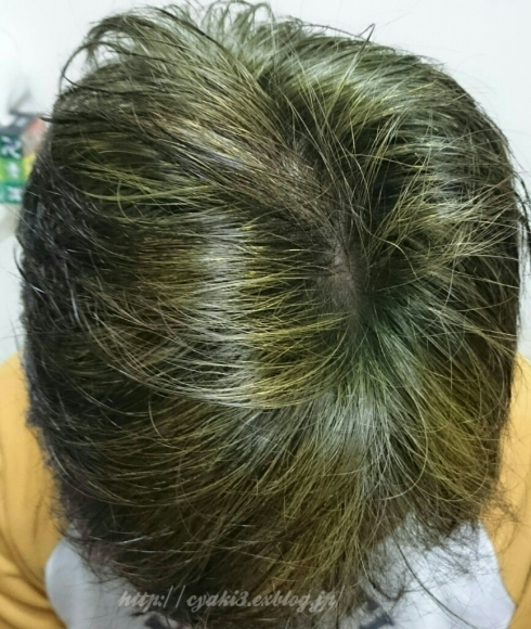 a0078020_09195508.jpg