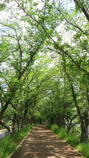 c0280322_10411376.jpg