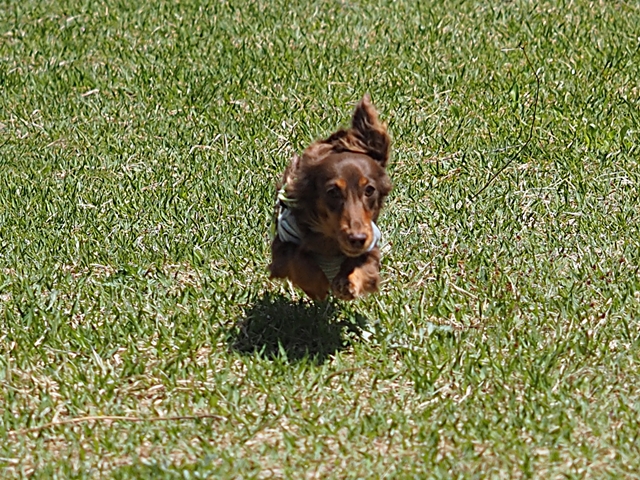 c0117831_20314130.jpg