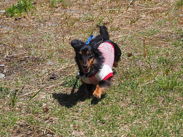 c0117831_2032032.jpg