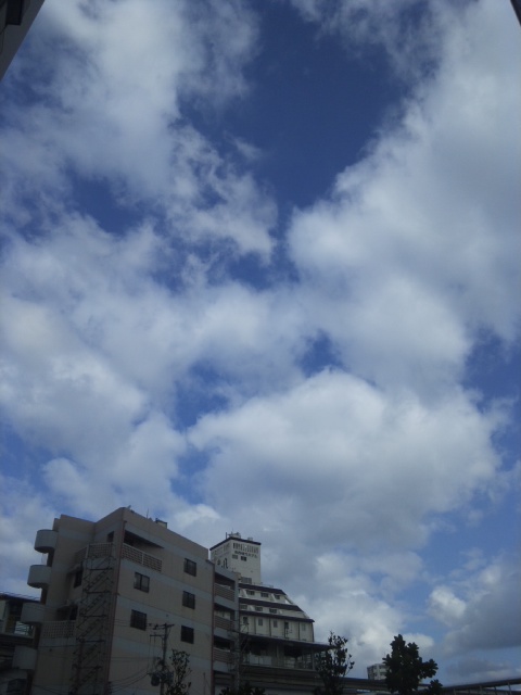 a0167335_841501.jpg