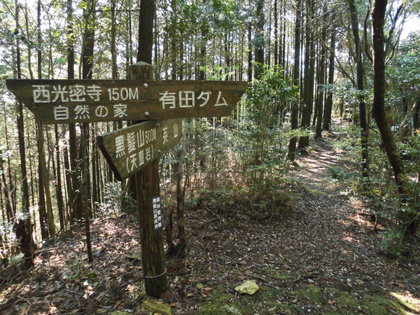 a0206345_1916575.jpg